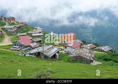 Nebel in der lustra-Hochebene in uzungöl, Provinz trabzon. Stockfoto