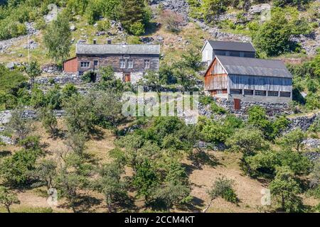 GEIRANGER, NORWEGEN - 2016. JUNI 14. Altes Bauernhaus mit Obstbäumen im Geirangerfjord in Norwegen Stockfoto