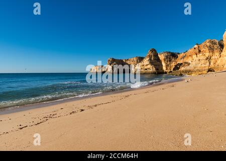 Blick auf den malerischen Strand Marinha (Praia da Marinha) in der Algarve, Portugal; Konzept für Reisen in Portugal und Sommerferien. Stockfoto