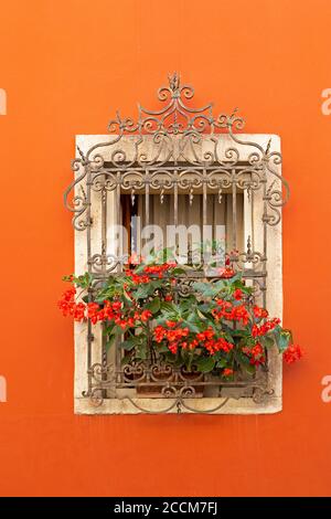 Fenster mit Blumen in der Altstadt, Motovun, Istrien, Kroatien Stockfoto