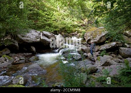 Ein Fischer versucht sein Glück in der Nähe von Watersmeet auf dem östlichen Lyn River in Lynmouth, North Devon Stockfoto