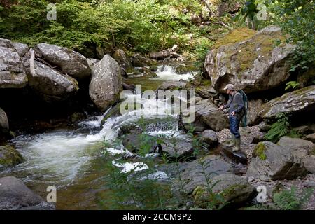 Ein Fischer versucht sein Glück in der Nähe von Watersmeet auf dem östlichen Lyn River in Lynmouth, North Devon Stockfoto