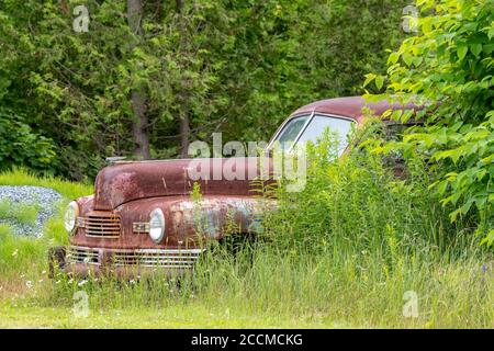 Ein altes, rostiges, verlassenes Auto im Gebüsch. Das Auto ist komplett mit Rost bedeckt, aber die Fenster sind intakt. Stockfoto