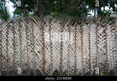 Rattan-Muster von trockenen Kokosnussblatt für Fechten Hintergrund bei Resort im Freien Stockfoto