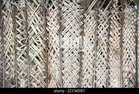 Rattan-Muster von trockenen Kokosnussblatt für Fechten Hintergrund bei Resort im Freien Stockfoto