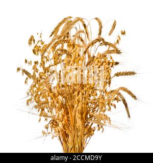 Haufen Getreide auf weißem Hintergrund Stockfoto