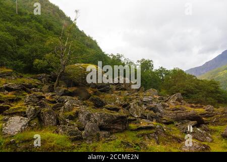 Neblige Berge am regnerischen Sommertag vom Flåm aus gesehen Bahnzug zwischen Myrdal und Flåm in der Gemeinde Aurland, Vestland bezirk Stockfoto