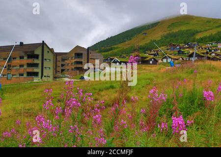 Traditionelle Architektur Myrkdalen-Skigebiet in Voss, Westnorwegen, mit familienfreundlichen Skigebieten, Pisten, Geländeparks und Langlaufloipen Stockfoto