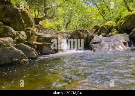 Eine Auswahl von Bildern aufgenommen in Devon, einem Teil des Südwestens von Großbritannien, ein Paradies für Urlauber, Wanderer und Ramblers mit einer atemberaubenden Landschaft. Stockfoto