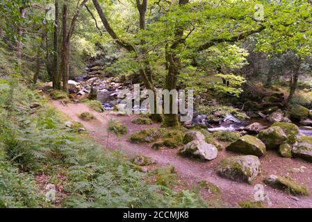 Eine Auswahl von Bildern aufgenommen in Devon, einem Teil des Südwestens von Großbritannien, ein Paradies für Urlauber, Wanderer und Ramblers mit einer atemberaubenden Landschaft. Stockfoto