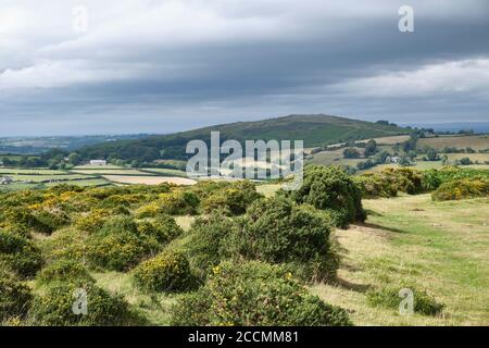 Eine Auswahl von Bildern aufgenommen in Devon, einem Teil des Südwestens von Großbritannien, ein Paradies für Urlauber, Wanderer und Ramblers mit einer atemberaubenden Landschaft. Stockfoto