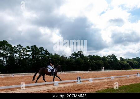 Raeford, North Carolina, USA. August 2020. 22. Aug. 2020 - Raeford, North Carolina, USA - JASMINE HOBART reitet doppelt so gut tritt in der Dressur bei der war Horse Event Series 2020, Aug. 22 im Carolina Horse Park in Raeford, N.C. an Die 2013 als Cabin Branch Event Series gegründete war Horse Event Series besteht aus fünf Pferdeversuchen und kombinierten Tests und zieht Reiter und ihre Pferde aus dem gesamten Osten der Vereinigten Staaten an. Quelle: Timothy L. Hale/ZUMA Wire/Alamy Live News Stockfoto