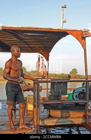 African Fisherman am Lake Kariba mit einer Hand voll von kleinen Fischen als Köder für Tiger Fish verwendet - Matusadona National Park, Simbabwe Stockfoto