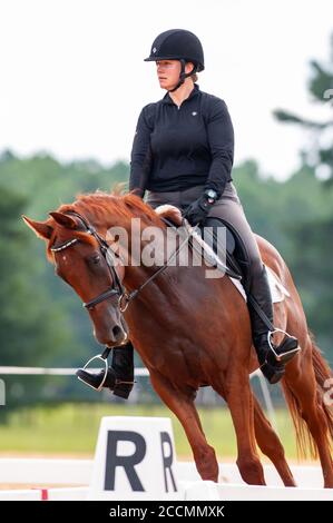 Raeford, North Carolina, USA. August 2020. 22. Aug. 2020 - Raeford, North Carolina, USA - ALEXA BROGNA Riding Jax tritt in der Dressur bei der 2020 war Horse Event Series, Aug. 22 im Carolina Horse Park in Raeford, N.C. an Die 2013 als Cabin Branch Event Series gegründete war Horse Event Series besteht aus fünf Pferdeversuchen und kombinierten Tests und zieht Reiter und ihre Pferde aus dem gesamten Osten der Vereinigten Staaten an. Quelle: Timothy L. Hale/ZUMA Wire/Alamy Live News Stockfoto