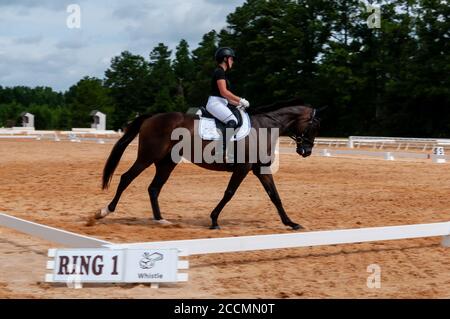 Raeford, North Carolina, USA. August 2020. 22. Aug. 2020 - Raeford, North Carolina, USA - JASMINE HOBART Reiten Plumb Line tritt in der Dressur bei der 2020 war Horse Event Series, Aug. 22 im Carolina Horse Park in Raeford, N.C. Die 2013 als Cabin Branch Event Series gegründete war Horse Event Series besteht aus fünf Pferdeversuchen und kombinierten Tests und zieht Reiter und ihre Pferde aus dem gesamten Osten der Vereinigten Staaten an. Quelle: Timothy L. Hale/ZUMA Wire/Alamy Live News Stockfoto