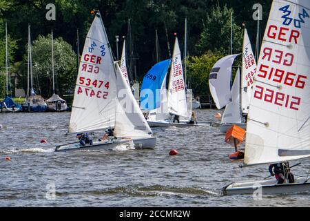 Baldeneysee, Segelregatta, Laser- und Beiboot-Klasse, Essen, NRW, Deutschland Stockfoto