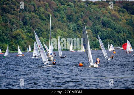 Baldeneysee, Segelregatta, Laser- und Beiboot-Klasse, Essen, NRW, Deutschland Stockfoto