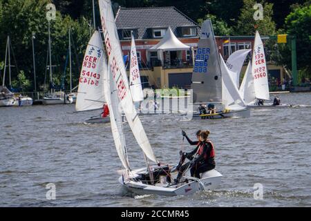 Baldeneysee, Segelregatta, Laser- und Beiboot-Klasse, Essen, NRW, Deutschland Stockfoto