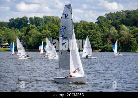 Baldeneysee, Segelregatta, Laser- und Beiboot-Klasse, Essen, NRW, Deutschland Stockfoto