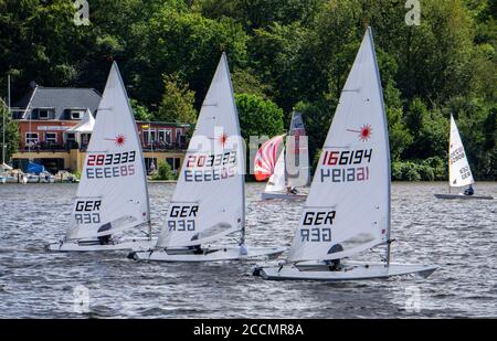 Baldeneysee, Segelregatta, Laser- und Beiboot-Klasse, Essen, NRW, Deutschland Stockfoto