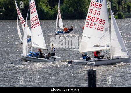 Baldeneysee, Segelregatta, Laser- und Beiboot-Klasse, Essen, NRW, Deutschland Stockfoto