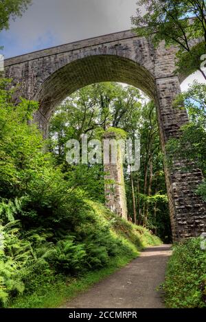 Eine Auswahl von Bildern aufgenommen in Devon, einem Teil des Südwestens von Großbritannien, ein Paradies für Urlauber, Wanderer und Ramblers mit einer atemberaubenden Landschaft. Stockfoto