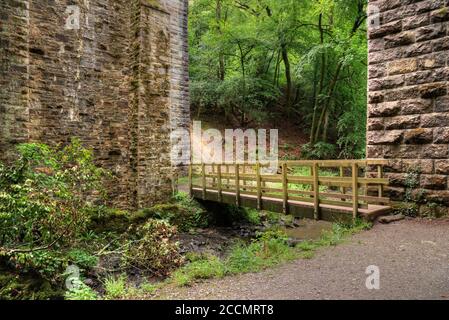 Eine Auswahl von Bildern aufgenommen in Devon, einem Teil des Südwestens von Großbritannien, ein Paradies für Urlauber, Wanderer und Ramblers mit einer atemberaubenden Landschaft. Stockfoto