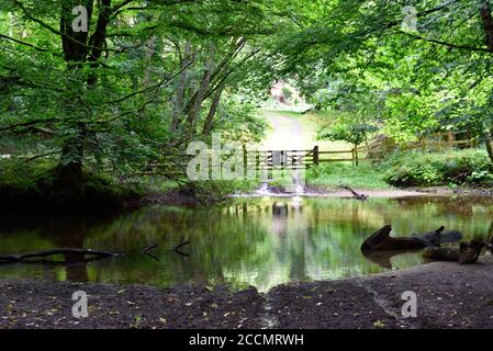 Eine Auswahl von Bildern aufgenommen in Devon, einem Teil des Südwestens von Großbritannien, ein Paradies für Urlauber, Wanderer und Ramblers mit einer atemberaubenden Landschaft. Stockfoto