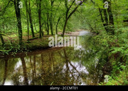 Eine Auswahl von Bildern aufgenommen in Devon, einem Teil des Südwestens von Großbritannien, ein Paradies für Urlauber, Wanderer und Ramblers mit einer atemberaubenden Landschaft. Stockfoto