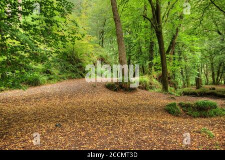 Eine Auswahl von Bildern aufgenommen in Devon, einem Teil des Südwestens von Großbritannien, ein Paradies für Urlauber, Wanderer und Ramblers mit einer atemberaubenden Landschaft. Stockfoto