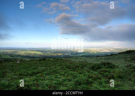 Eine Auswahl von Bildern aufgenommen in Devon, einem Teil des Südwestens von Großbritannien, ein Paradies für Urlauber, Wanderer und Ramblers mit einer atemberaubenden Landschaft. Stockfoto