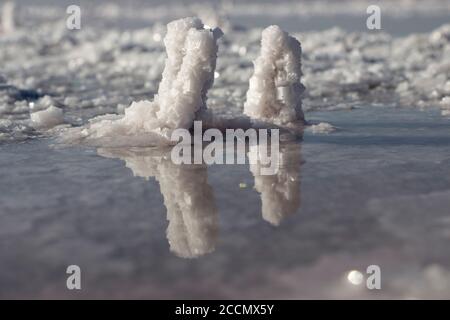 Zwei Salzkristalle bildeten sich am Ufer eines Sees mit hohem Salzgehalt. Stockfoto