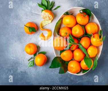 Frische Zitrusfrüchte Mandarine Orangen Frucht (Mandarinen, Clementinen,) mit Blättern in einer hellen Schale auf einem grauen Stein oder Beton Hintergrund. Selektiver Fokus, bis Stockfoto