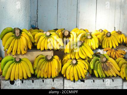 Trauben von frisch geernteten Bananen auf einem Markt Stockfoto