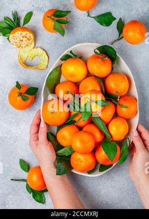 Frau Hände und frische Bio-Zitrusfrüchte Mandarine Orangen Frucht (Mandarinen, Clementinen,) mit Blättern in einer leichten Schale auf einem grauen Stein oder Beton backgro Stockfoto