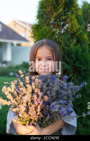 Entzückendes Kind in grauem Kleid hält Armvoll von Lavendel in Grüner Garten Stockfoto