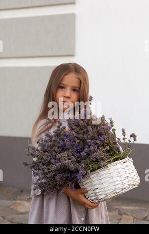 Entzückendes Kind in grauem Kleid hält Armvoll von Lavendel in Grüner Garten Stockfoto