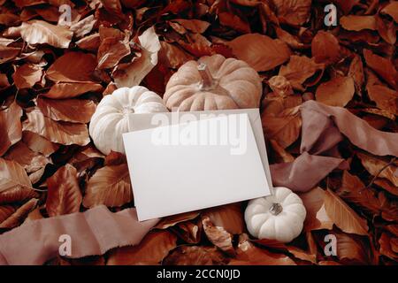 Konzept für Herbst-, Thanksgiving- und Halloween-Feiern. Weiße und orangefarbene Kürbisse, Seidenband auf trockenem rotem Buchenholzhintergrund. Leere Grußkarte Stockfoto