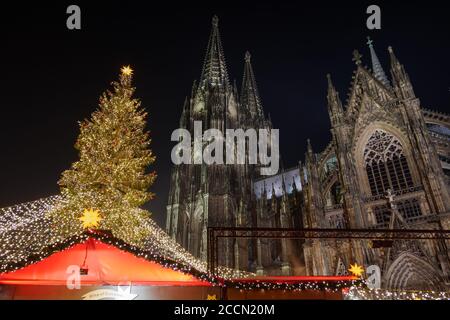 Nachtlandschaft und Blick aus dem niedrigen Winkel auf riesigen Weihnachtsbaum und Kölner Dom während Weihnachtsmarkt, Weihnachtsmarkt in Köln, Deutschland. Stockfoto