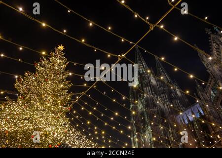 Glühbirnen hängen auf Drähten und Hintergrund von riesigen Weihnachtsbaum und Kölner Dom während Weihnachtsmarkt, Weihnachtsmarkt in Köln, Deutschland. Stockfoto