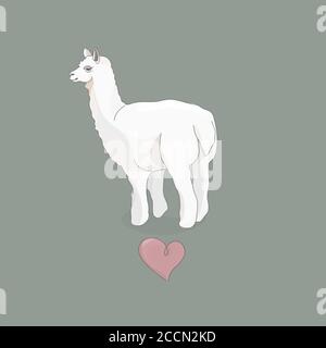 Vektordarstellung eines Lamas oder Alpaka Rückansicht. Cartoon-Stil Pastellfarben. Stock Vektor
