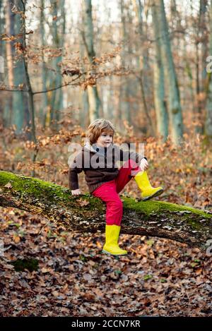 Kinder Herbst Blätter fallen. Kleinkind oder Vorschulkinder im Herbst. Stockfoto