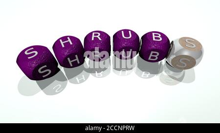 Kreuzworträtsel von Sträuchern angeordnet durch kubische Buchstaben auf einem Spiegelboden, Konzept Bedeutung und Präsentation, 3D-Illustration Stockfoto