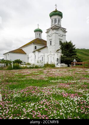 Blumen umgeben die Kirche der Heiligen Himmelfahrt in der Gemeinde Unalaska, Alaska. Stockfoto