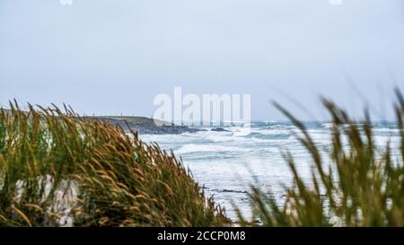 Concordia Bay, East Falkland Island Stockfoto