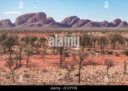 Ungewöhnlicher Panoramablick auf den Berg Kata Tjuta - die Olgas. Mehrere felsige Kuppeln erodiert von Wasser und Wind. Bäume und trockene Vegetation. Rote Erde. Australien Stockfoto