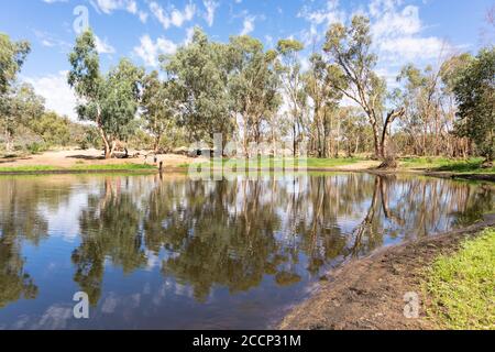 Bäume und Menschen reflektierten sich auf einem Wasserteich. Perfekte Symmetrie. Ellery Creek Big Hole, West MacDonnell Ranges, Northern Territory NT, Australien, Ozeanien Stockfoto