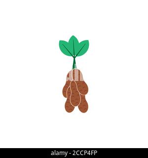 Peanuts Vektor Design Vorlage Illustration Stock Vektor
