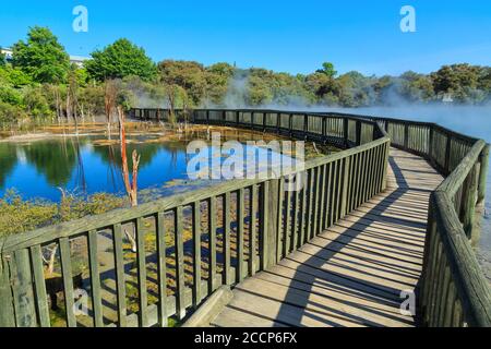 Ein Holzsteg über einen dampfenden geothermischen See im Kuirau Park, Rotorua, Neuseeland Stockfoto