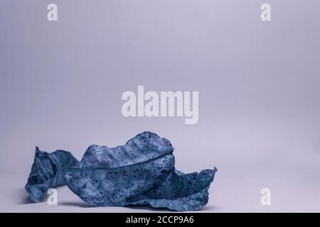 Schöne verblasste alte Blätter in blauem Licht. Minimalismus im Herbststil. Hintergrund Muster für Design. Stockfoto